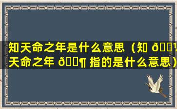 知天命之年是什么意思（知 🐼 天命之年 🐶 指的是什么意思）